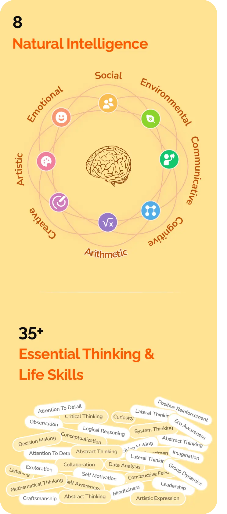 Detailed activity design for cognitive development